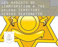 Les avocats de l'immigration à  The Galena Territory