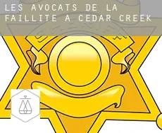 Les avocats de la faillite à  Cedar Creek