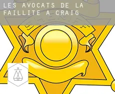 Les avocats de la faillite à Craig