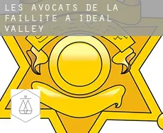 Les avocats de la faillite à  Ideal Valley
