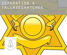 Séparation à  Tallaseehatchee