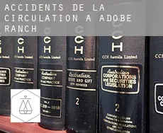 Accidents de la circulation à Adobe Ranch