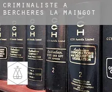 Criminaliste à Berchères-la-Maingot