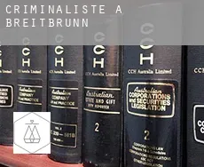 Criminaliste à  Breitbrunn