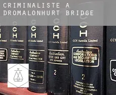 Criminaliste à  Dromalonhurt Bridge