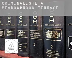 Criminaliste à  Meadowbrook Terrace