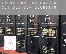 Expulsions avocats à Cuttoli-Corticchiato