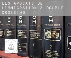 Les avocats de l'immigration à  Double Crossing