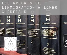 Les avocats de l'immigration à  Lower Gledfield