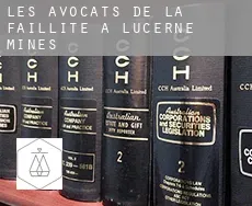 Les avocats de la faillite à  Lucerne Mines