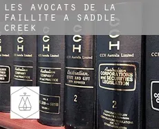 Les avocats de la faillite à Saddle Creek