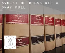 Avocat de blessures à  Gray Mule