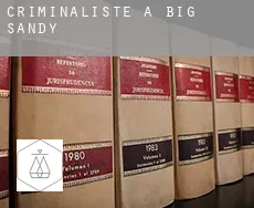 Criminaliste à  Big Sandy