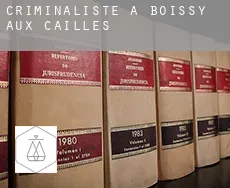 Criminaliste à  Boissy-aux-Cailles