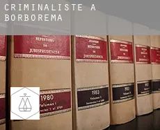 Criminaliste à  Borborema