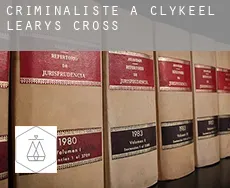 Criminaliste à  Clykeel Leary’s Cross