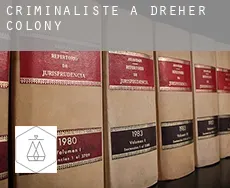 Criminaliste à  Dreher Colony