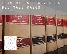 Criminaliste à  Zorita del Maestrazgo