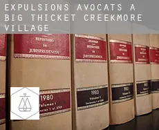 Expulsions avocats à  Big Thicket Creekmore Village