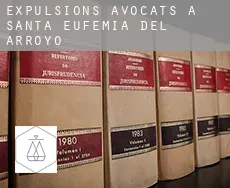 Expulsions avocats à  Santa Eufemia del Arroyo