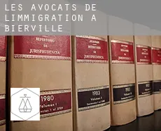 Les avocats de l'immigration à  Bierville