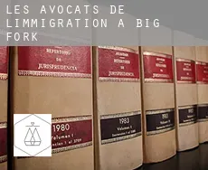 Les avocats de l'immigration à  Big Fork