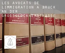 Les avocats de l'immigration à Bruck an der Großglocknerstraße