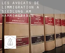 Les avocats de l'immigration à  Siedlung am Hammergraben