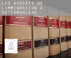 Les avocats de l'immigration à  Untermühlegg