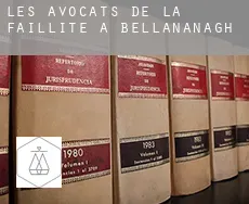 Les avocats de la faillite à Bellananagh