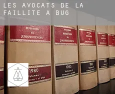 Les avocats de la faillite à  Bug