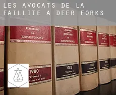 Les avocats de la faillite à  Deer Forks