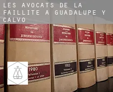 Les avocats de la faillite à  Guadalupe y Calvo