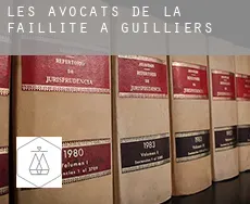 Les avocats de la faillite à Guilliers