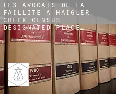Les avocats de la faillite à  Haigler Creek