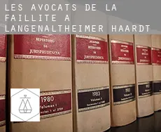 Les avocats de la faillite à  Langenaltheimer Haardt