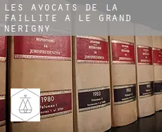 Les avocats de la faillite à  Le Grand Nérigny