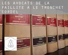 Les avocats de la faillite à Le Tronchet-Cordel