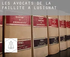 Les avocats de la faillite à  Lusignat