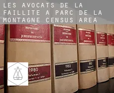 Les avocats de la faillite à  Parc-de-la-Montagne (census area)
