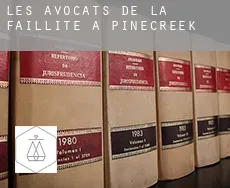 Les avocats de la faillite à  Pinecreek
