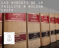 Les avocats de la faillite à  Wilson Creek