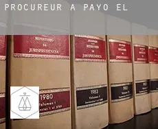 Procureur à  Payo (El)
