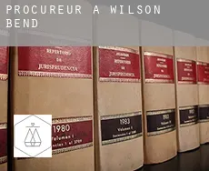 Procureur à Wilson Bend
