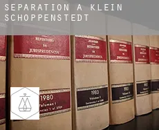 Séparation à  Klein Schöppenstedt