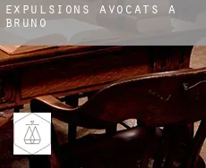Expulsions avocats à  Bruno