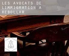 Les avocats de l'immigration à  Rebollar
