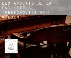 Les avocats de la faillite à  Třebechovice pod Orebem