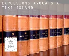 Expulsions avocats à  Tiki Island