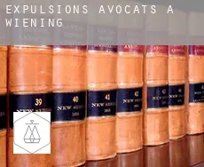 Expulsions avocats à  Wiening